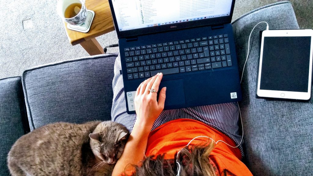 A top down view of a person using a laptop with a cat next to them