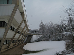 Library in snow