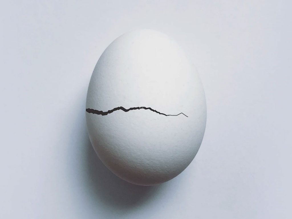 Cracked egg