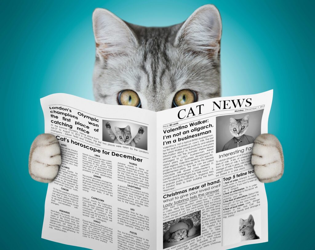 AI generated image of a cat reading a newspaper called Cat News