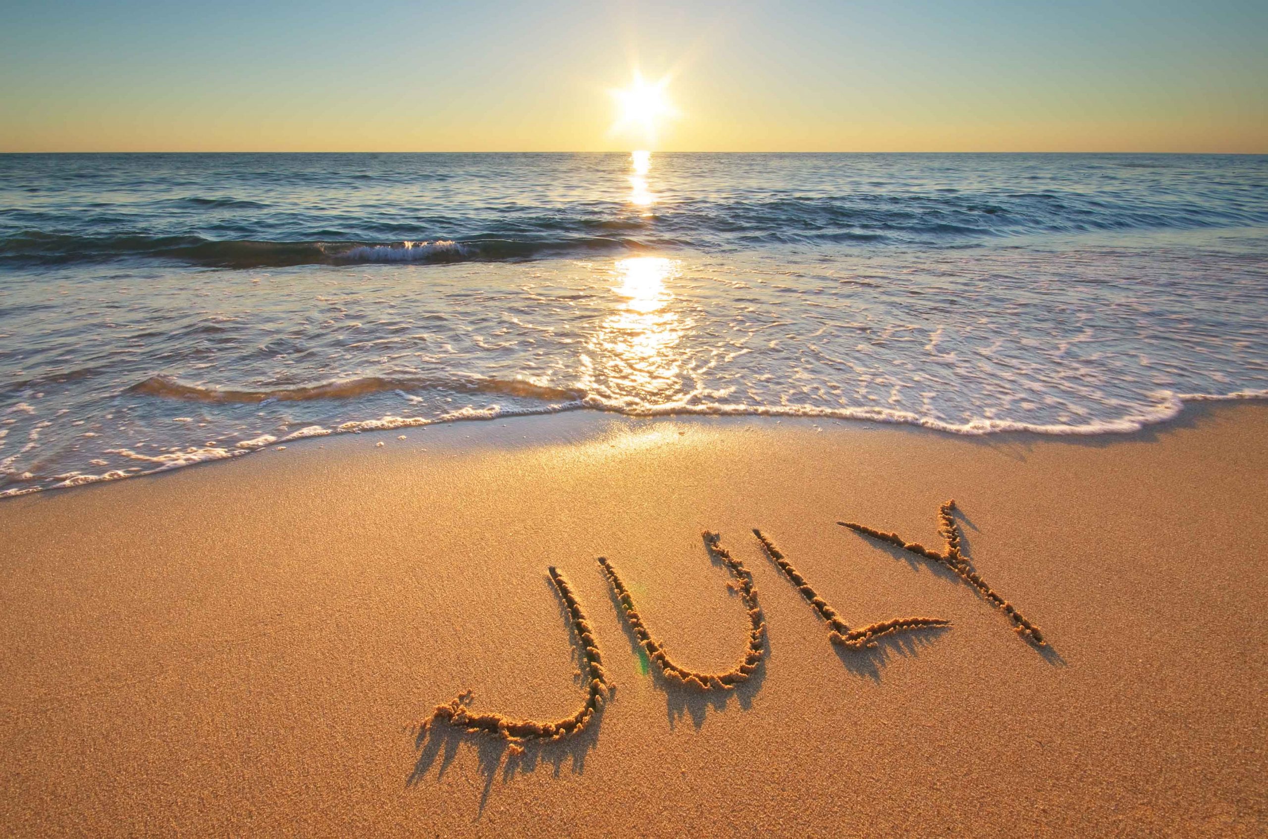 July Copyright Reads (2026)
