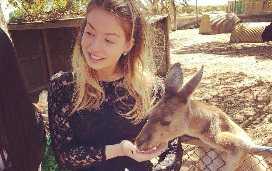 Feeding the Kangaroos