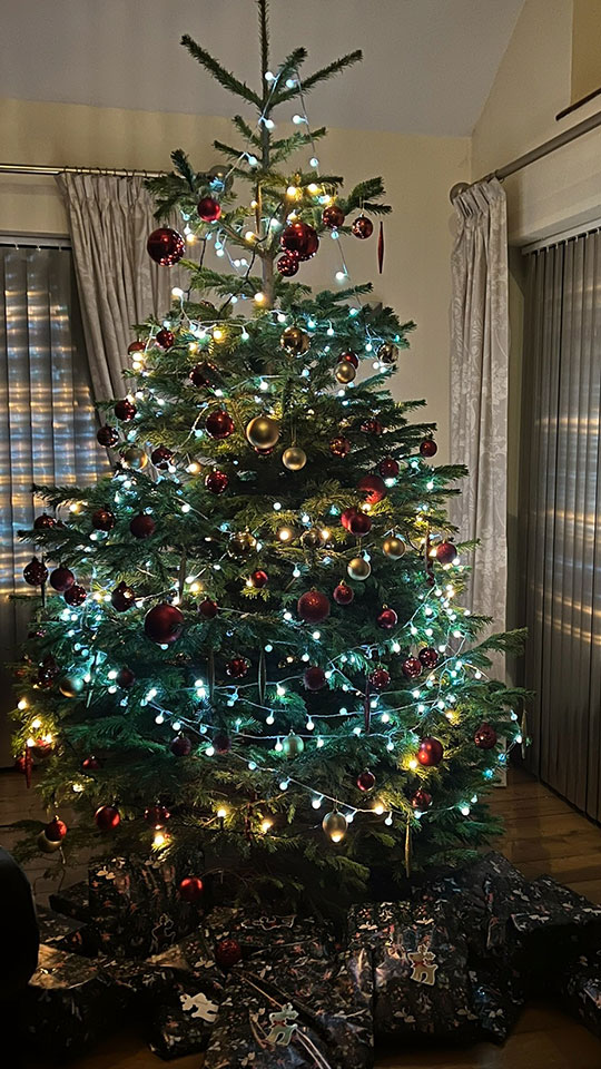 A Christmas tree decorated with lights and red and gold baubles, standing in a living room