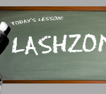 lashzone logo