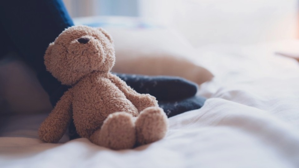 Teddy bear leaning on a person's arm