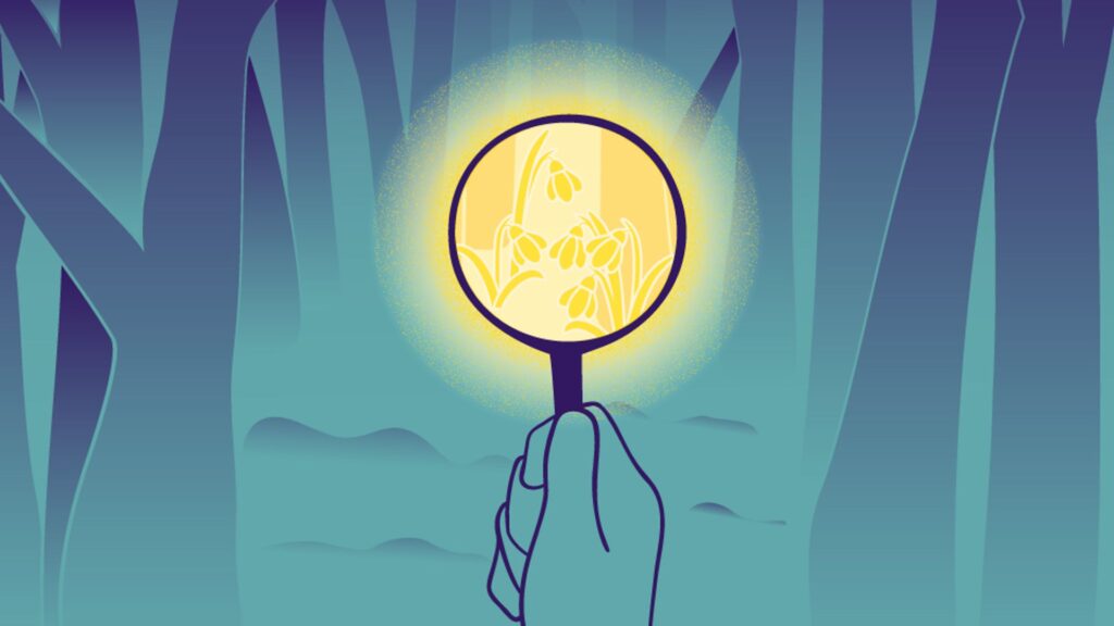 Illustration of a hand holding a magnifying glass in blue woodland, through the magnifying glass is flowers lit up by a yellow spotlight. 